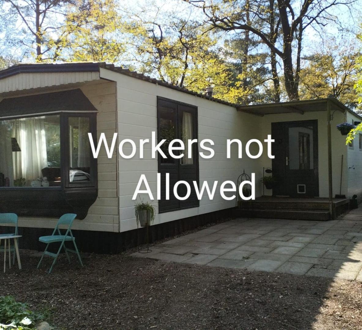 Wulft 47 Zonnig Gezellig 6P Chalet Met Zwembad In Bosrijke Omgeving Op Familie Camping De Vossenburcht IJhorst Exterior foto