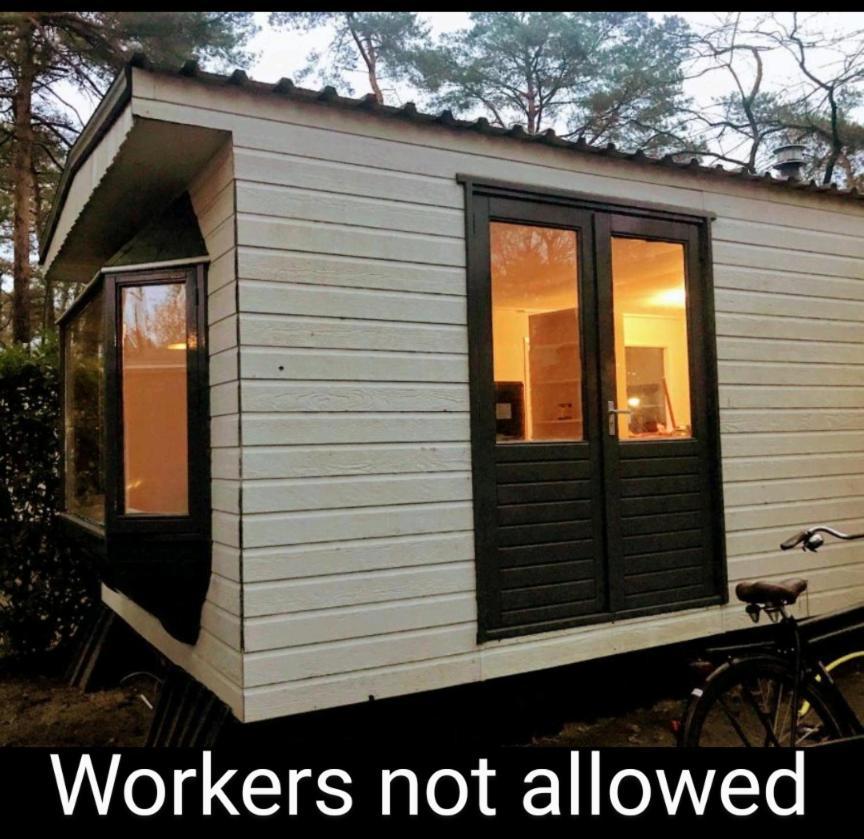 Wulft 47 Zonnig Gezellig 6P Chalet Met Zwembad In Bosrijke Omgeving Op Familie Camping De Vossenburcht IJhorst Exterior foto