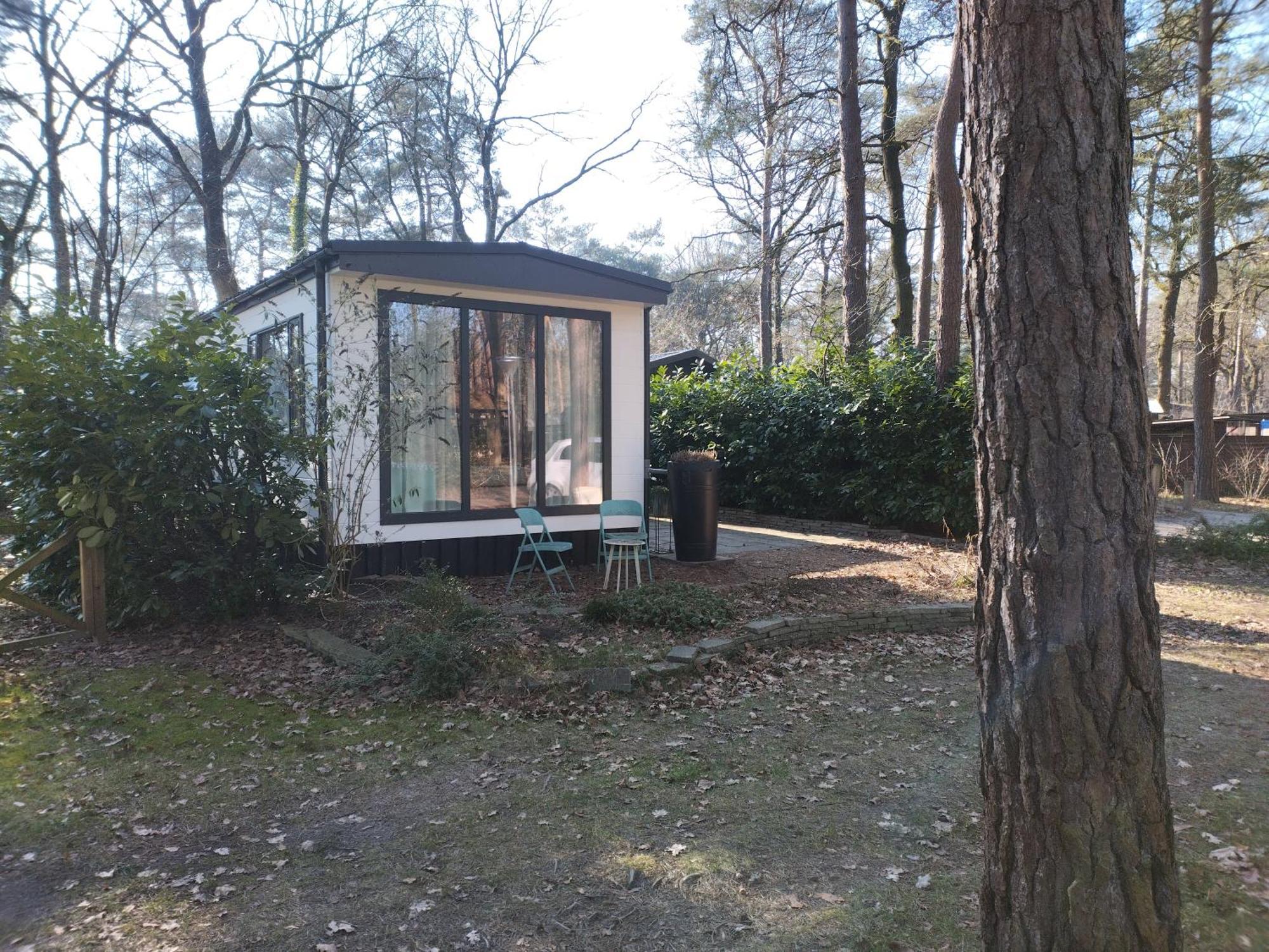 Wulft 47 Zonnig Gezellig 6P Chalet Met Zwembad In Bosrijke Omgeving Op Familie Camping De Vossenburcht IJhorst Exterior foto