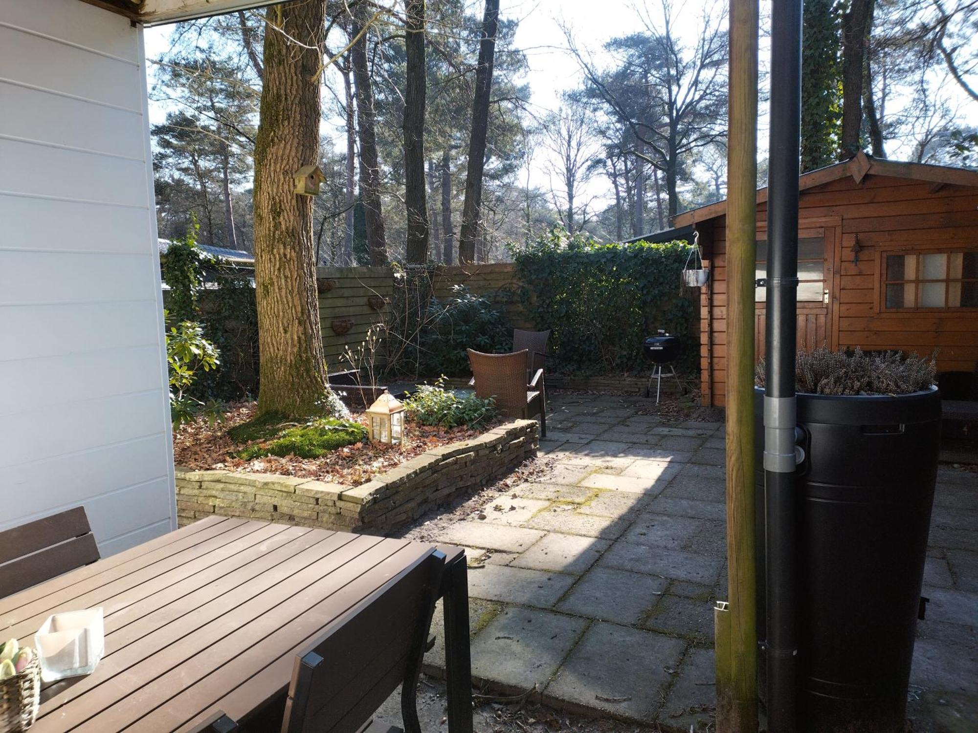 Wulft 47 Zonnig Gezellig 6P Chalet Met Zwembad In Bosrijke Omgeving Op Familie Camping De Vossenburcht IJhorst Exterior foto