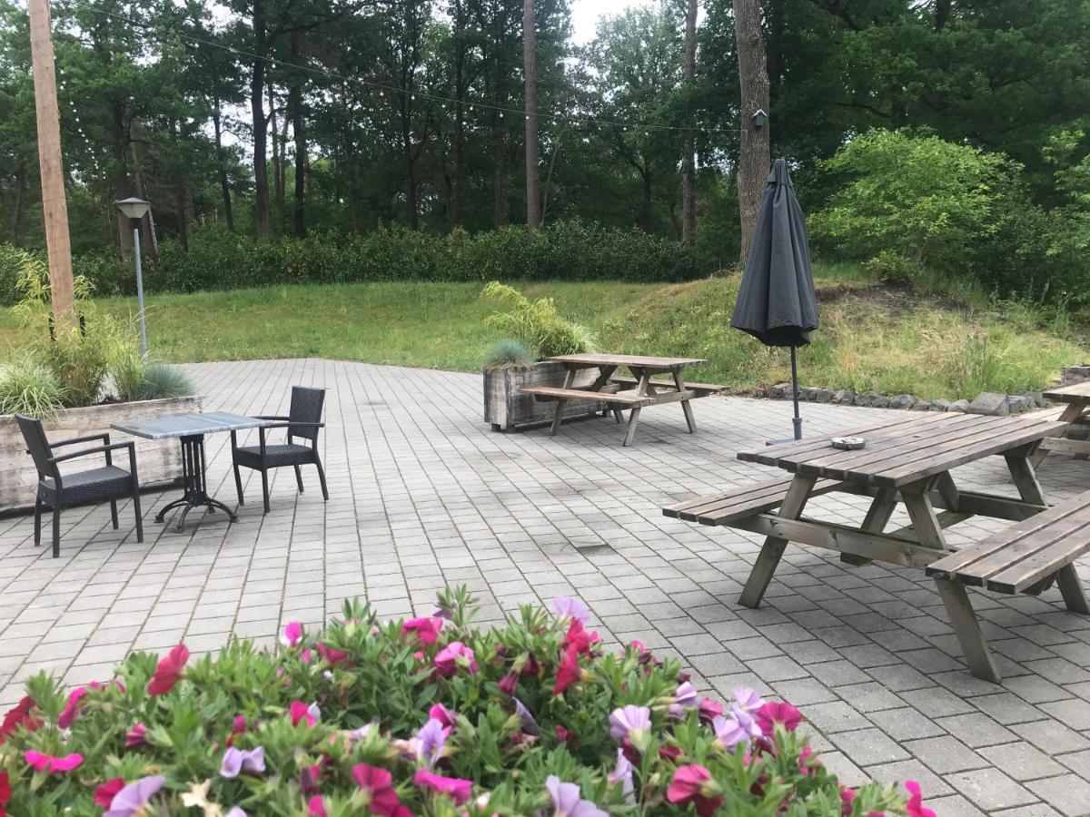 Wulft 47 Zonnig Gezellig 6P Chalet Met Zwembad In Bosrijke Omgeving Op Familie Camping De Vossenburcht IJhorst Exterior foto